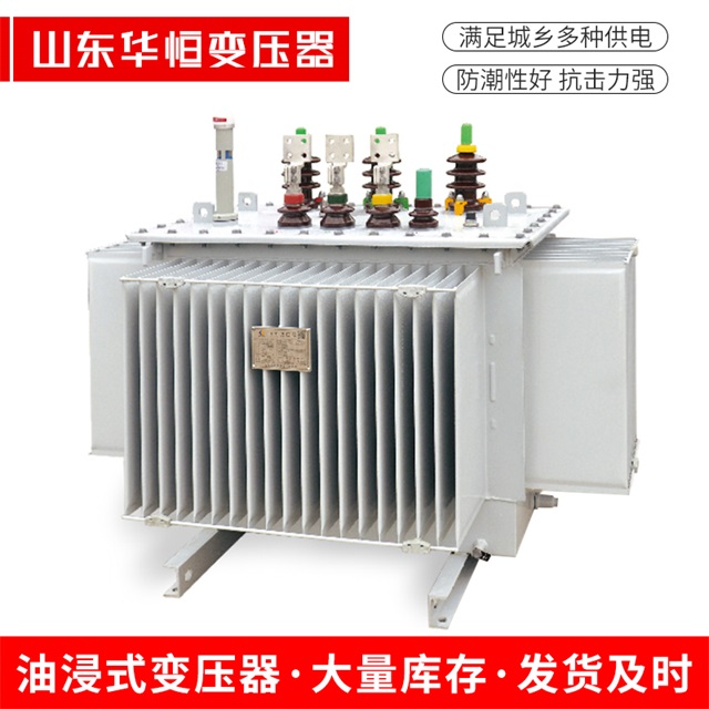 S13-10000/35武昌武昌武昌电力变压器